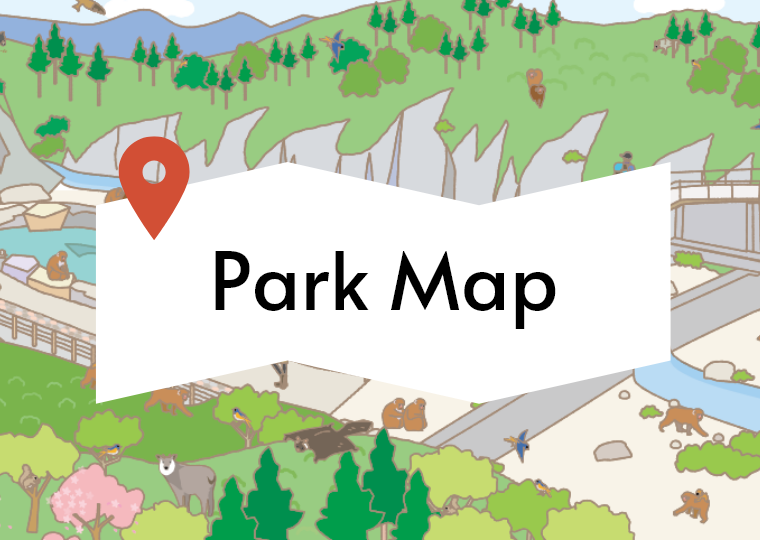 Park Map