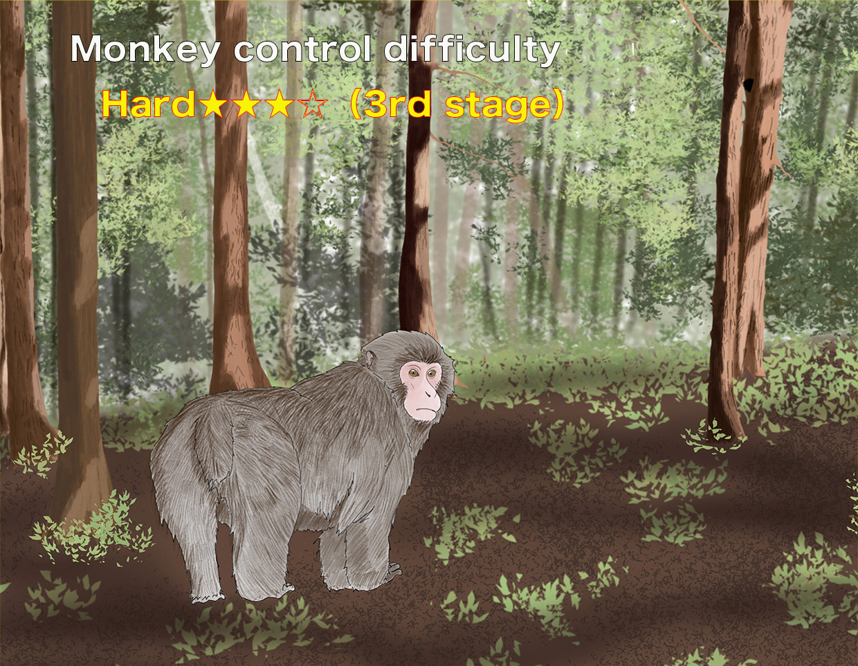 Monkeys appearance forecast  Nov.２４th~Nov.31st